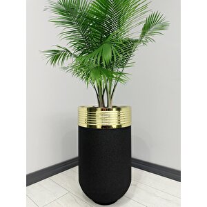 Elegant Dekoratif Gold Darbuka Siyah Saksı 70cm