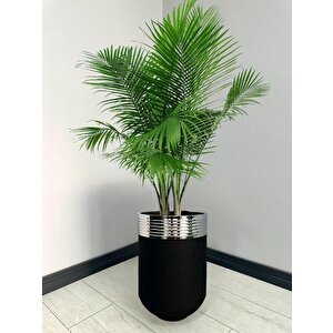 Elegant Dekoratif Krom Darbuka Siyah Saksı 60cm
