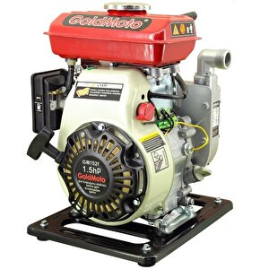 Goldmoto Gm1bp Benzinli Su Motoru 1 İnch