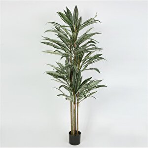 Yapay Ağaç 198cm Ak.jc0030