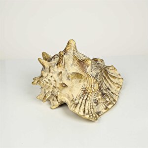 Vitale Gold Deniz Kabuğu Resin Obje 23*22*12cm Ak.p356.370022