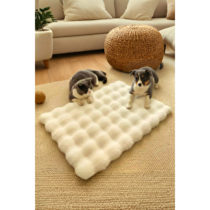 Peluş Yumuşak Yıkanabilir Bubble Kedi Yatağı - Köpek Yatağı Minder Krem