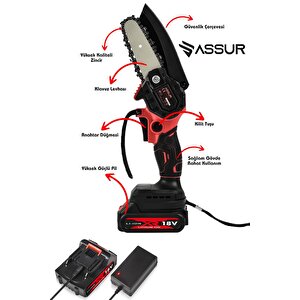 18v Çift Akülü Ağaç Dal Kesme Budama Testeresi & Teleskopik Kollu