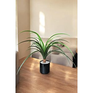 Taş Kapli Si̇yah Renkli̇ Saksida 55 Cm Yapay Yuka Ağaci