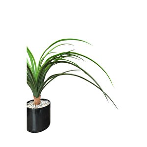 Taş Kapli Si̇yah Renkli̇ Saksida 55 Cm Yapay Yuka Ağaci