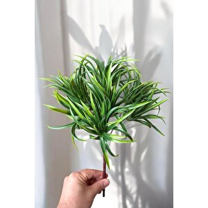 9 Kafali 5 Dalli Yapay Sukulent Kaktüs Aloevera Demeti̇