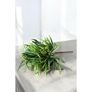 9 Kafali 5 Dalli Yapay Sukulent Kaktüs Aloevera Demeti̇