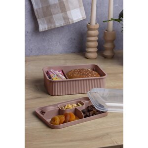Pudra Çizgili Beslenme Kutusu 5 Bölmeli Çatal Kaşıklı Şeffaf Kapaklı Lunch Box