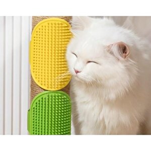 Evcil Hayvan Yıkama Ve Tüy Toplama Eldiveni Köpek Kedi Köşeye Takılan Kaşıma Fırçası