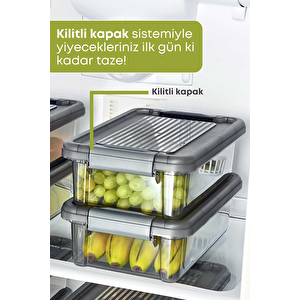 2 Adet Kilitli Erzak Saklama Kabı Buzdolabı Düzenleyici 3 Lt.-dipfriz