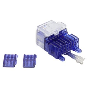 Rm Keystone Jack Utp Cat6 90 D Mavi-kırmızı