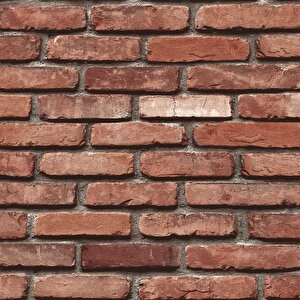 Natura Brick Dk.22100-1 (10 M2 )
