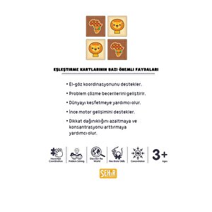 Özel Seri Temalı 48 Kartlı Eğitici Memory Çocuk Eşleştirme Hafıza Oyun Kartları