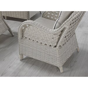 Venüs Rattan Bahçe Takimi 2+1+1+masa