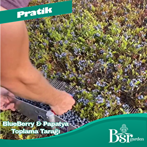 Blue Berry Ve Papatya Toplama Tarağı Bsr Garden