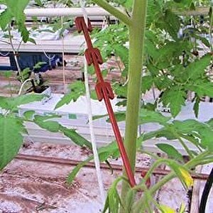 Salkım Tutucu J Baston 1000 Adet - Bsr Garden