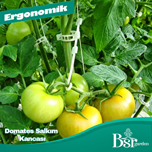 Salkım Tutucu J Baston 1000 Adet - Bsr Garden