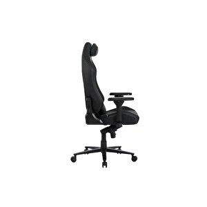 Adore Gaming Zeus Profesyonel Oyuncu Ve Yönetici Koltuğu-siyah-yeşil 42x126-133,5x75 Cm (gxyxd)
