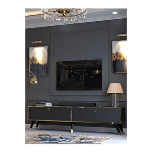 Festival Tv Sehpası Gold G33016-4 Antrasit