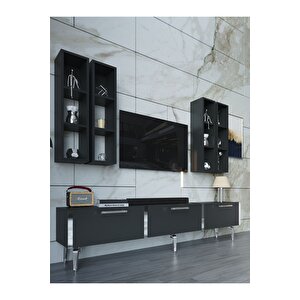 Festival Tv Ünitesi S3002-4-y1-d1 Silver Antasit