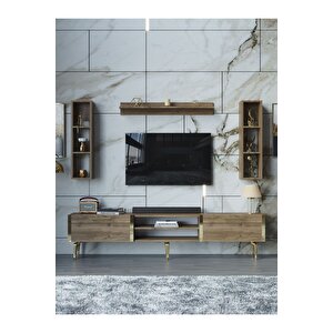 Festival Tv Ünitesi G3009-2-y1-d1 Gold Ceviz