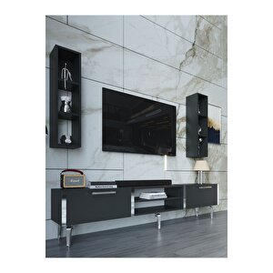 Festival Tv Ünitesi S3000-4-y1-d1 Silver Antasit