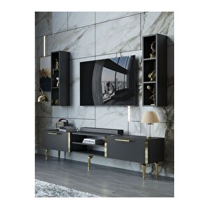 Festival Tv Ünitesi G3000-4-y1-d1 Gold Antasit