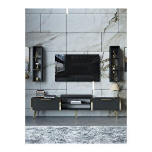 Festival Tv Ünitesi G3000-4-y1-d1 Gold Antasit