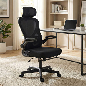 Oslo Ergonomik Çalışma Sandalyesi Siyah