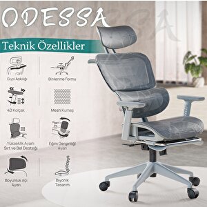 Odessa Fonksiyonel Çalışma Koltuğu Gri