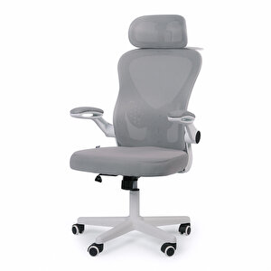 Oslo Ergonomik Çalışma Sandalyesi Gri