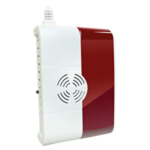 Av-06g Gaz Dedektörü Sesli Alarmlı Işıklı Gas Detector RF:433.92