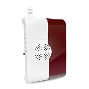 Av-06g Gaz Dedektörü Sesli Alarmlı Işıklı Gas Detector RF:433.92