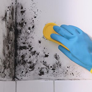 Suga  küf önleyeci solüsyon Anti̇-küf Anti̇-mold