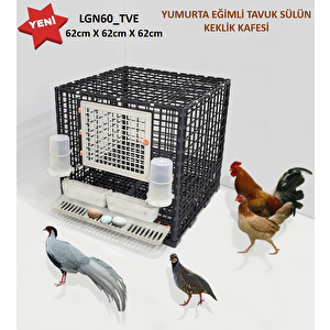 62cm X 62cm X 62cm Tavuk, Sülün, Keklik, Horoz Dinlenme Kafesi, Bantam Salma Kafesi