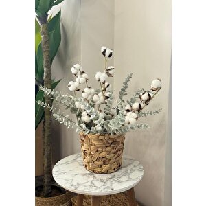 5li Set Doğal Pamuk Ve Okaliptus Çiçeği Kuru Çiçek Yapay Çiçek 3+2 Mix