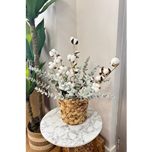 5li Set Doğal Pamuk Ve Okaliptus Çiçeği Kuru Çiçek Yapay Çiçek 3+2 Mix