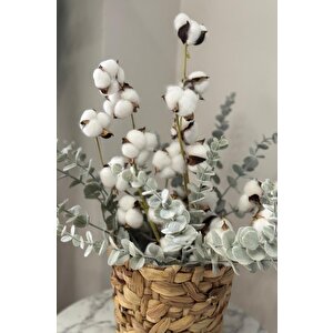 5li Set Doğal Pamuk Ve Okaliptus Çiçeği Kuru Çiçek Yapay Çiçek 3+2 Mix