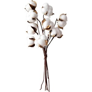 3lü Set Doğal Pamuk Çiçeği 30 Adet Tekli Dal Kuru Çiçek 30cm Yapay Çiçek