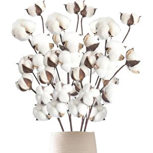 3lü Set Doğal Pamuk Çiçeği 9lu Kuru Çiçek 60cm Yapay Çiçek