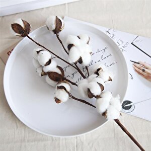 3lü Set Doğal Pamuk Çiçeği 9lu Kuru Çiçek 60cm Yapay Çiçek