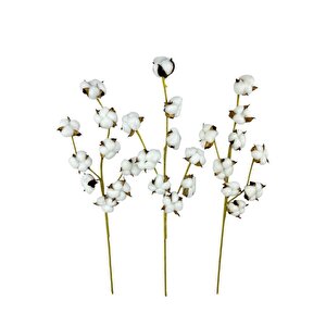 3lü Set Doğal Pamuk Çiçeği 9lu Kuru Çiçek 60cm Yapay Çiçek