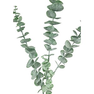 Yapay Çiçek Pastel Yeşil Okaliptus 3dallı Uzun Dal 76cm Eucalyptus
