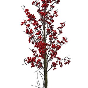 Yapay Ağaç Kokina Ağacı 150cm Doğal Görünümlü 7dallı
