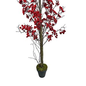 Yapay Ağaç Kokina Ağacı 150cm Doğal Görünümlü 7dallı