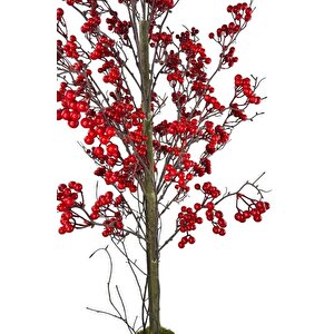 Yapay Ağaç Kokina Ağacı 150cm Doğal Görünümlü 7dallı