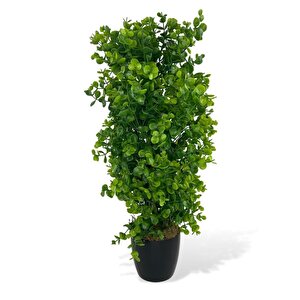 Yapay Çiçek Siyah Saksıda Yeşil Şimşir Ağacı 50cm
