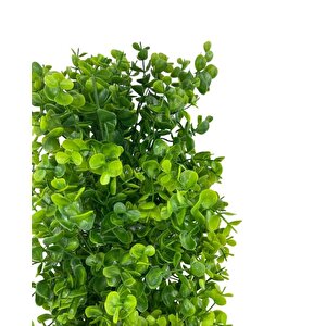 Yapay Çiçek Siyah Saksıda Yeşil Şimşir Ağacı 50cm