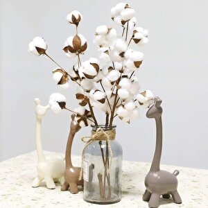 Doğal Pamuk Çiçeği 9lu Kuru Çiçek 60cm Yapay Çiçek