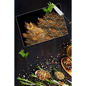 20x30 Cm Cam Kesme Tahtası Sonbahar